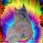 @shardwolfies6807