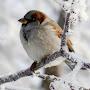 @user-yf6ui1ck1hZoya