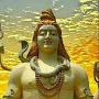 @dhanuv7485