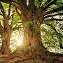 @Healing_Power_for_soul