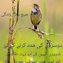 @ejazkhanchiarty
