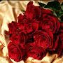 @marammansour170
