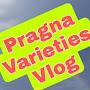@pragnavarietiesvlog783