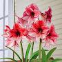 @nehatak1