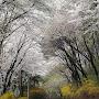 @5saltrock153