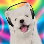 @puppydumby2558