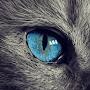 @pascalb.174