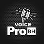 @ProVoiceBH