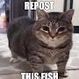 @michaelpont3341
