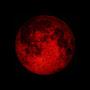 @lunardelusions2657
