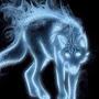 @Bluwolf0404
