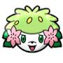 @Shaymin2012