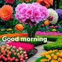 @nardevsingh7245