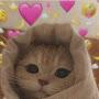 @nadoshsalem6055