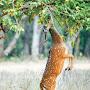 @deepeshramakrishnan6114