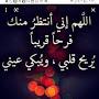 @zainabdaaboush9451