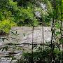 @riversoflivingwatermediabr1324