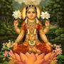 @SivaKumar-cm7en