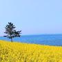 @작은행복-t8c