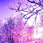 @SLATE-303_M