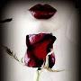 @piyushrehan
