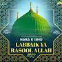 @mohammadrabbani8289