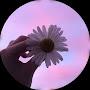 @ricardoantoniopinedalizard9721