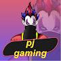 @pjgamingzone3955