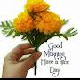 @shayanhafeez8182