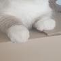 @팔레-v6j
