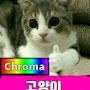 @Yechan1006