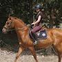 @MargheritaUnbridledEquestrian