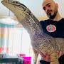 @mypetvelociraptor