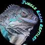 @Jungleroomreptiles