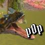 @p0p-l8u