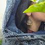 @hinaxaidi1243
