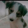 @pradeeprai5053