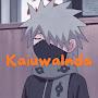 @Kaisayslmao
