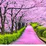 @yolandad3911