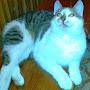 @valuckasraimondas4642