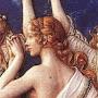 @harmoniazographos1780