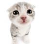 @itz.-jx9ci