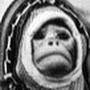 @scumonkey