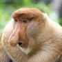 @Themonkeyisepic