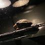 @Turtle6077-w2i