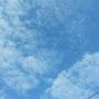 @林國全-h3v