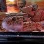 @lizard2001
