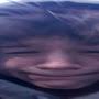 @Elias_Crivelius