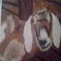 @Disney-art-craft-fan