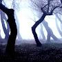 @Suspended777DusK